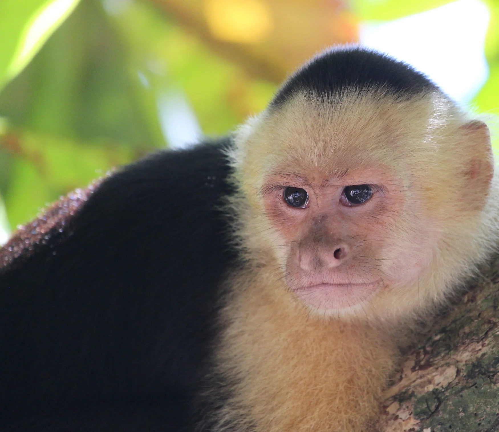 Costa Rica